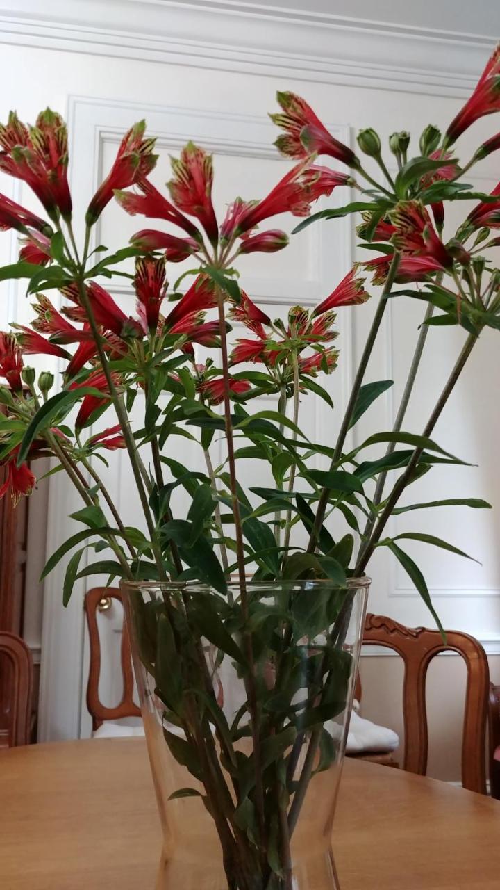 Fruits Of Vienna B&B المظهر الخارجي الصورة